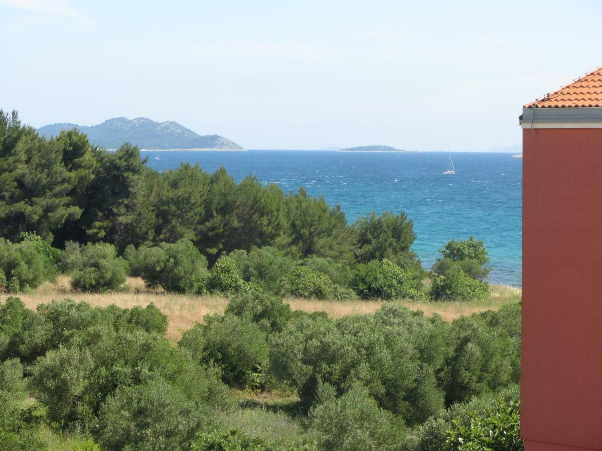 Apartment Plavia Biograd Biograd Na Moru Exteriér fotografie